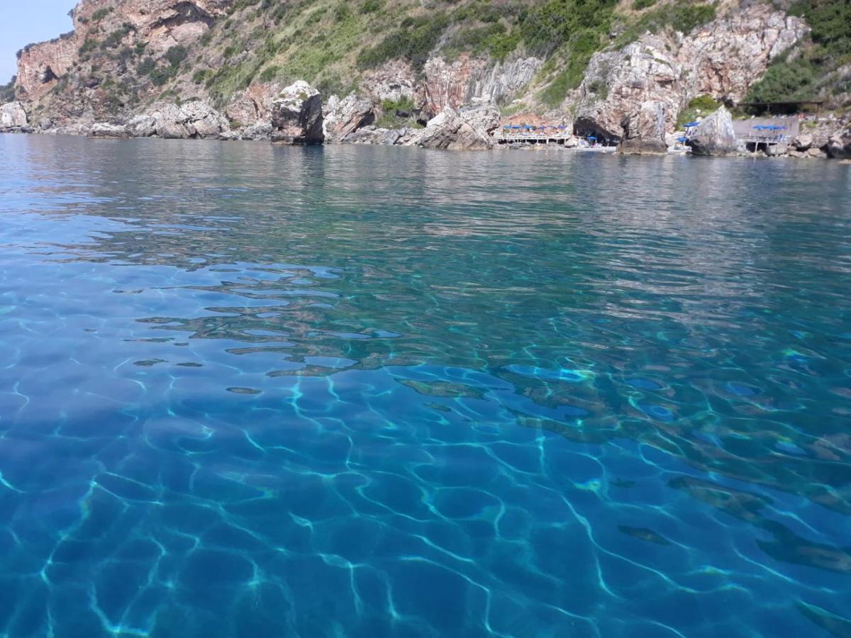 B&B Mediterraneo Cetraro Dış mekan fotoğraf